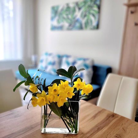 Silver Lodge Apartment 1 Еґер Екстер'єр фото